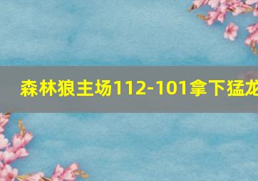 森林狼主场112-101拿下猛龙