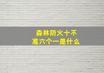 森林防火十不准六个一是什么