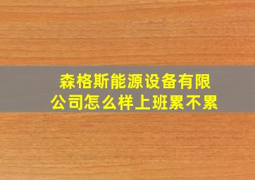 森格斯能源设备有限公司怎么样上班累不累