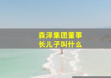 森泽集团董事长儿子叫什么