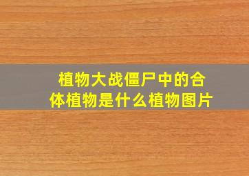 植物大战僵尸中的合体植物是什么植物图片