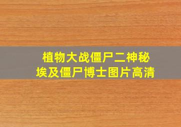 植物大战僵尸二神秘埃及僵尸博士图片高清