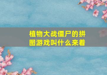 植物大战僵尸的拼图游戏叫什么来着