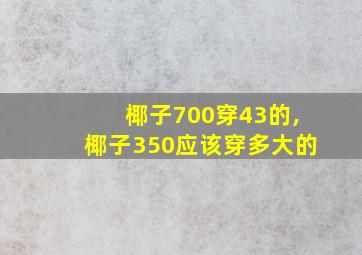 椰子700穿43的,椰子350应该穿多大的