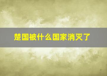 楚国被什么国家消灭了