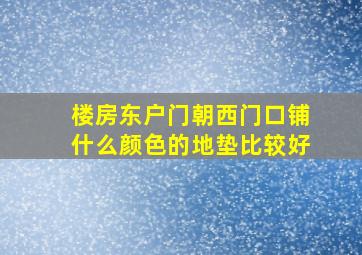 楼房东户门朝西门口铺什么颜色的地垫比较好