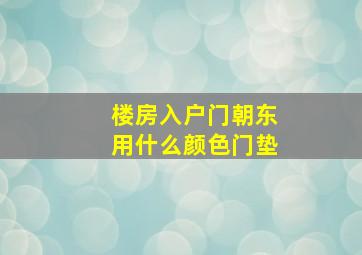 楼房入户门朝东用什么颜色门垫