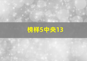 榜样5中央13