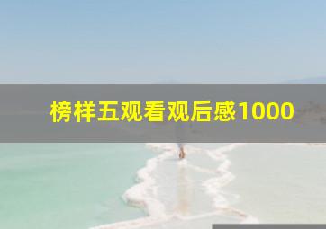 榜样五观看观后感1000