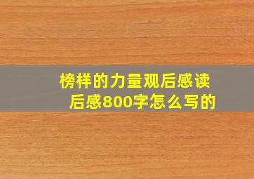 榜样的力量观后感读后感800字怎么写的