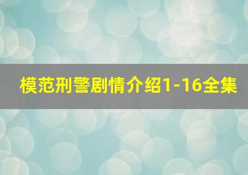 模范刑警剧情介绍1-16全集