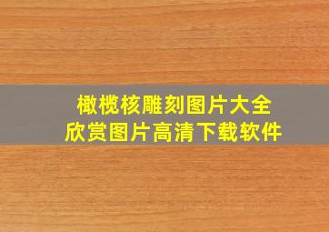 橄榄核雕刻图片大全欣赏图片高清下载软件