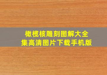 橄榄核雕刻图解大全集高清图片下载手机版