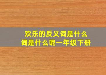 欢乐的反义词是什么词是什么呢一年级下册