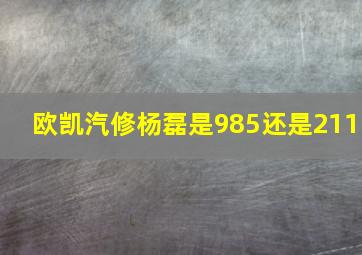 欧凯汽修杨磊是985还是211