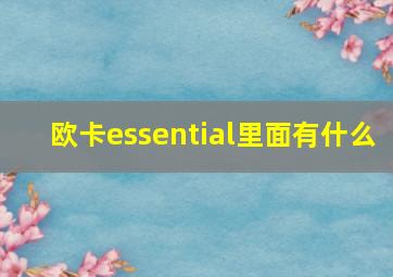 欧卡essential里面有什么