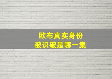 欧布真实身份被识破是哪一集