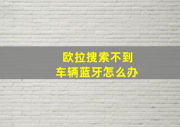 欧拉搜索不到车辆蓝牙怎么办