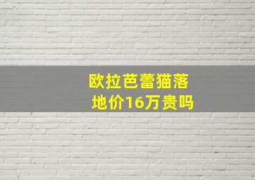 欧拉芭蕾猫落地价16万贵吗