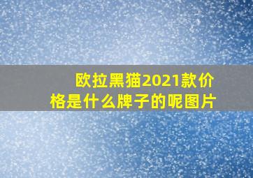 欧拉黑猫2021款价格是什么牌子的呢图片