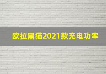 欧拉黑猫2021款充电功率