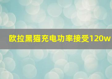 欧拉黑猫充电功率接受120w