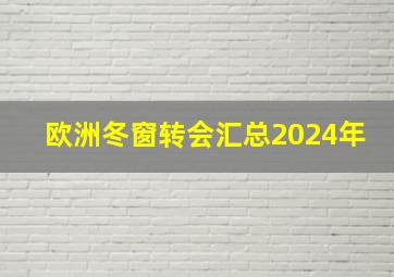 欧洲冬窗转会汇总2024年