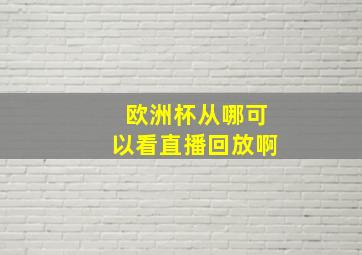 欧洲杯从哪可以看直播回放啊