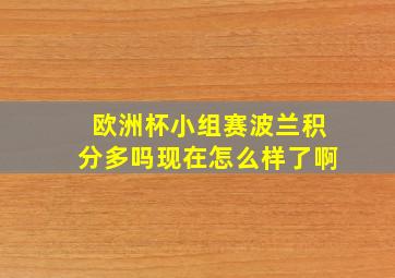 欧洲杯小组赛波兰积分多吗现在怎么样了啊