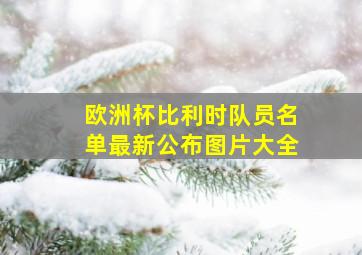 欧洲杯比利时队员名单最新公布图片大全