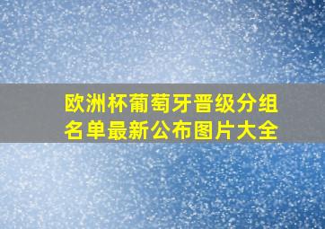 欧洲杯葡萄牙晋级分组名单最新公布图片大全