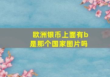 欧洲银币上面有b是那个国家图片吗