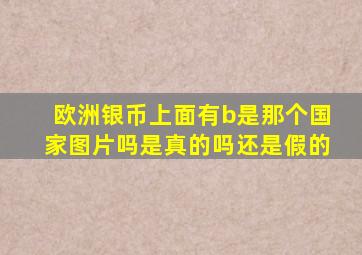 欧洲银币上面有b是那个国家图片吗是真的吗还是假的