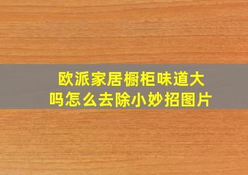 欧派家居橱柜味道大吗怎么去除小妙招图片