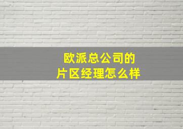 欧派总公司的片区经理怎么样