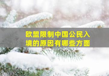 欧盟限制中国公民入境的原因有哪些方面