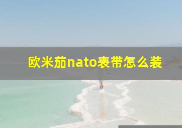 欧米茄nato表带怎么装