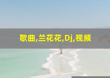 歌曲,兰花花,Dj,视频