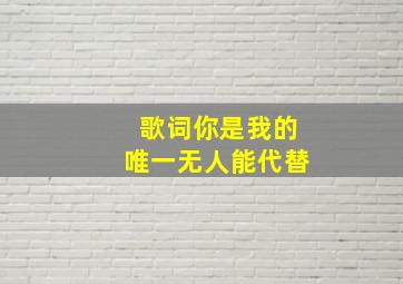 歌词你是我的唯一无人能代替