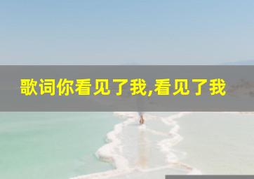 歌词你看见了我,看见了我