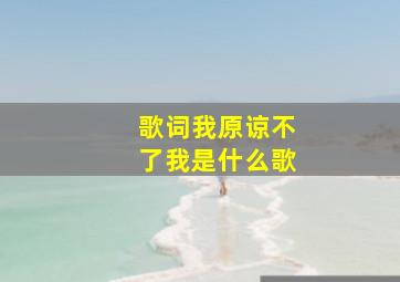 歌词我原谅不了我是什么歌