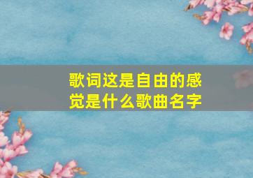 歌词这是自由的感觉是什么歌曲名字