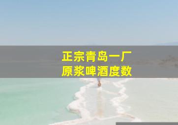 正宗青岛一厂原浆啤酒度数