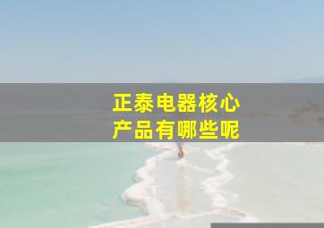 正泰电器核心产品有哪些呢