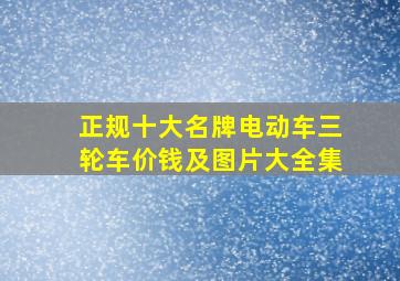 正规十大名牌电动车三轮车价钱及图片大全集