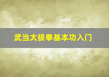 武当太极拳基本功入门