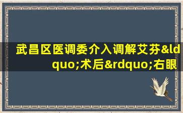 武昌区医调委介入调解艾芬“术后”右眼近乎失明事件