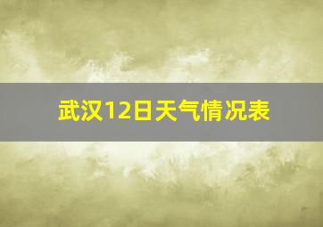 武汉12日天气情况表