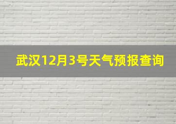 武汉12月3号天气预报查询