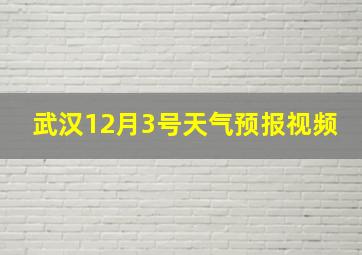 武汉12月3号天气预报视频